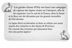 image de la question