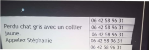 Image de la question